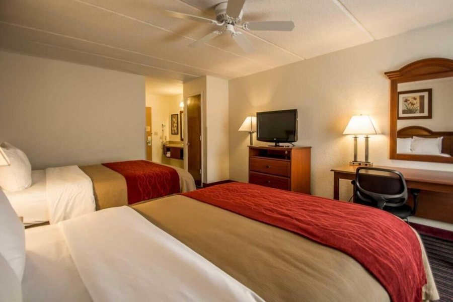 Comfort Inn Kissimmee Lake Buena Vista South — Guest room
