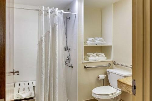 Comfort Inn Lancaster At Rockvale — Bathroom