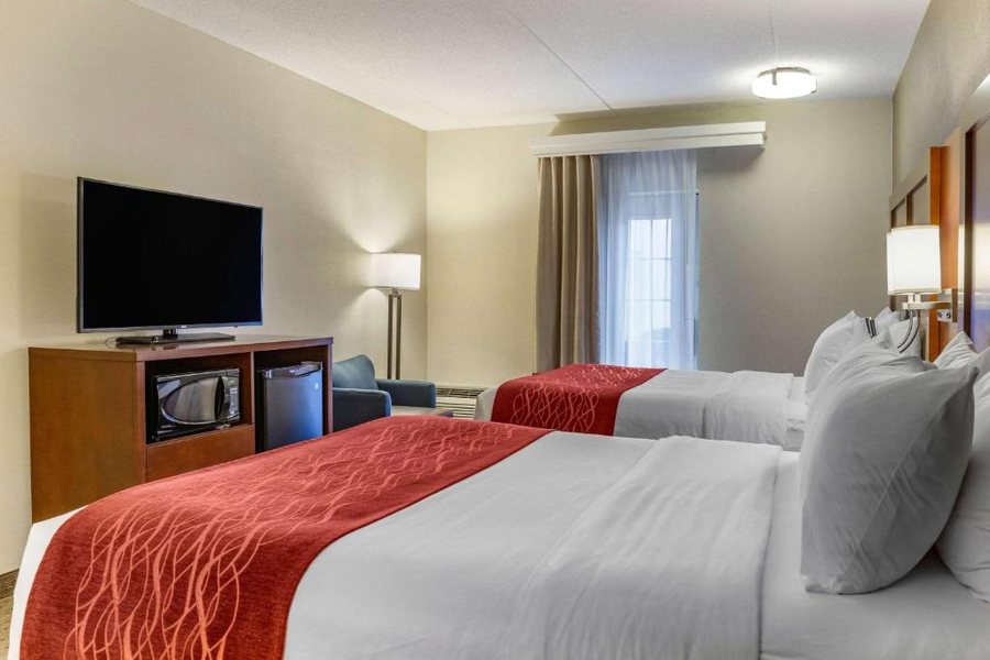 Comfort Inn Lancaster At Rockvale — Guest room