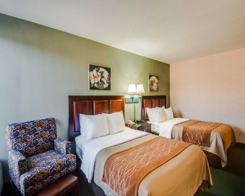 Comfort Inn Lexington Virginia Horse Center — Guest room