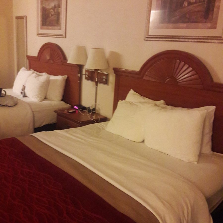 Comfort Inn Limon Colorado — Guest room