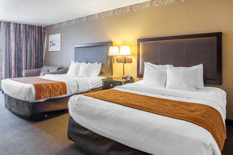 Comfort Inn — Guest room