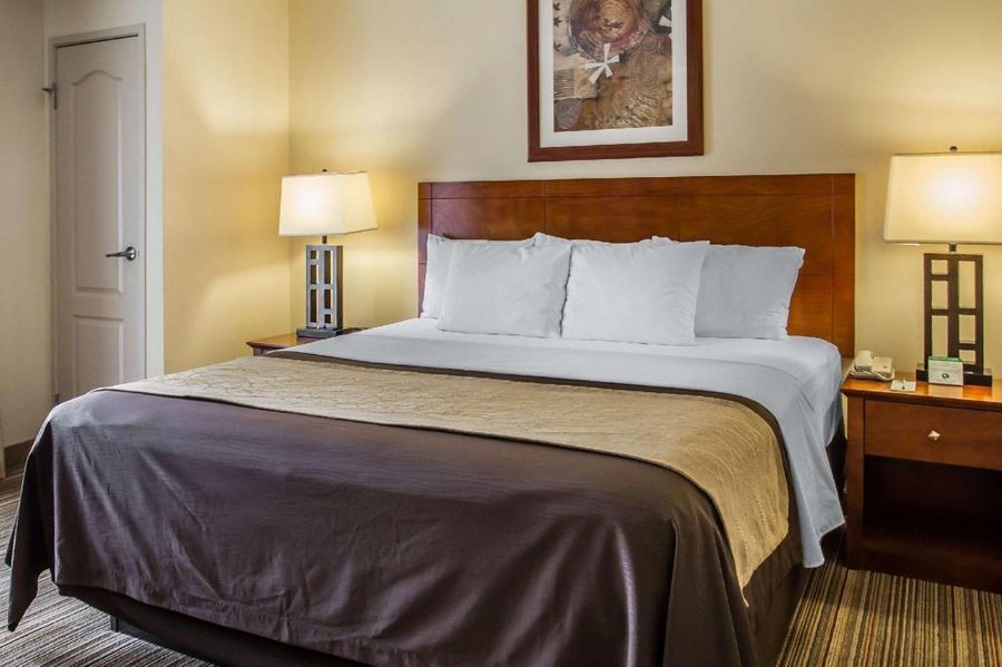 Comfort Inn Los Angeles near Hollywood Los Angeles California — Guest room