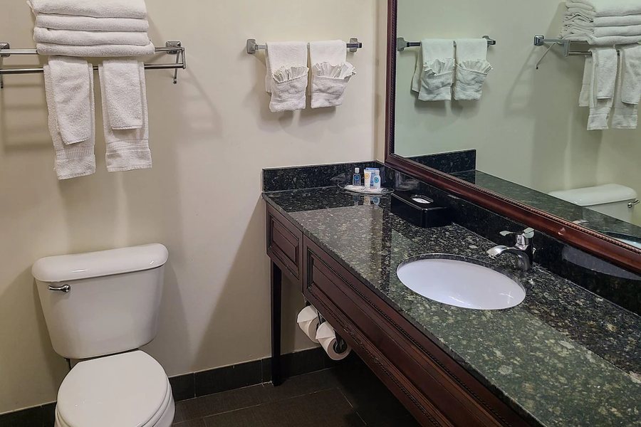 Comfort Inn Madison — Bathroom