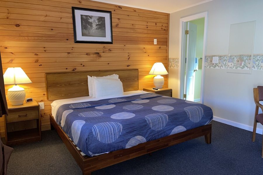 Comfort Inn — Guest room