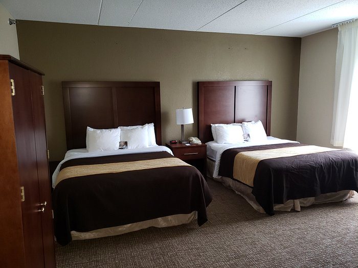 Comfort Inn Mechanicsburg Harrisburg South — Guest room