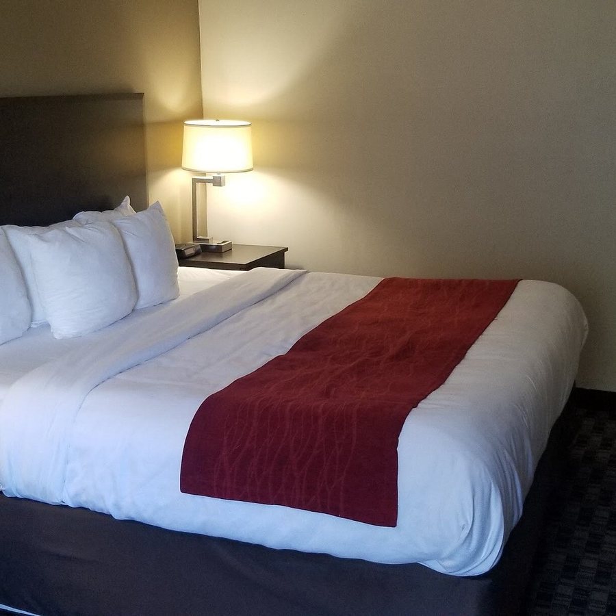 Comfort Inn Midland South I 20 — Guest room