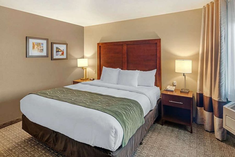 Comfort Inn — Guest room