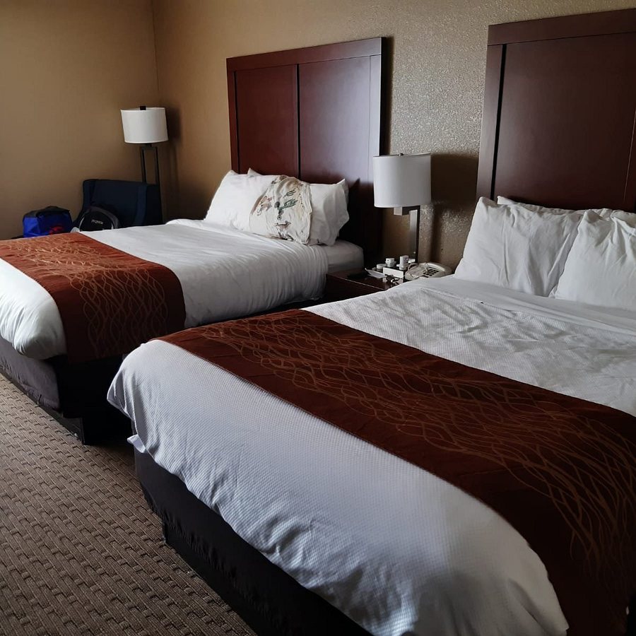 Comfort Inn N Myrtle Beach Barefoot Landing — Guest room