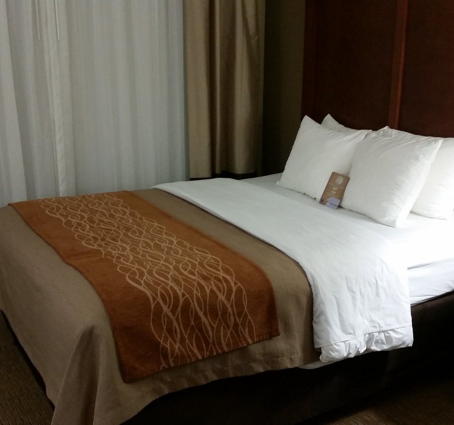 Comfort Inn Naples East I 75 — Guest room
