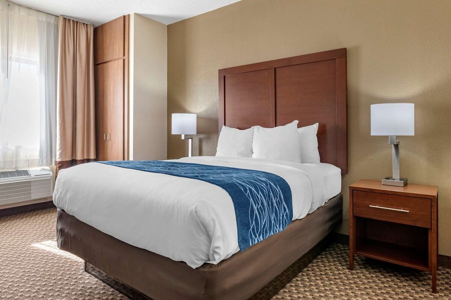 Comfort Inn Near Kokomo Speedway — Guest room