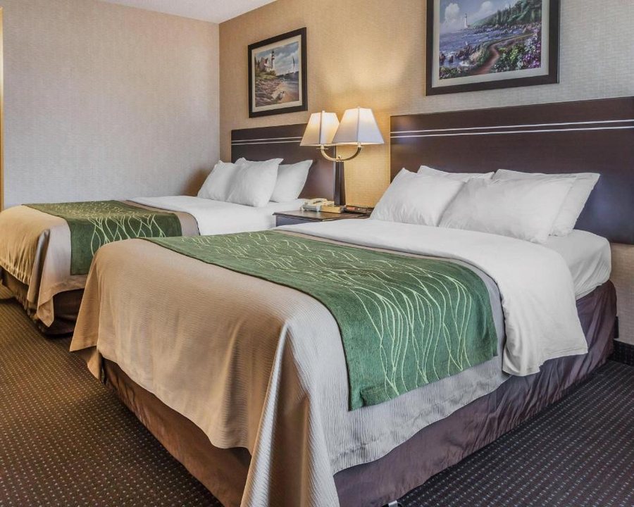 Comfort Inn On the Bay — Guest room