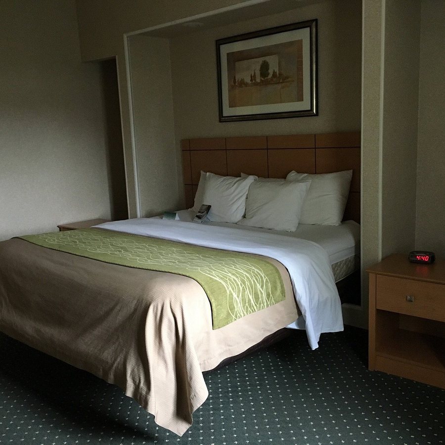Comfort Inn Onalaska La Crosse Area — Guest room