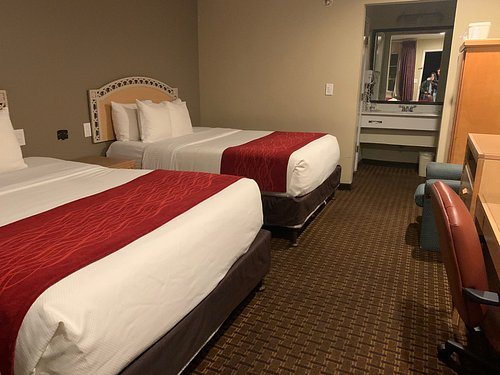 Comfort Inn — Guest room