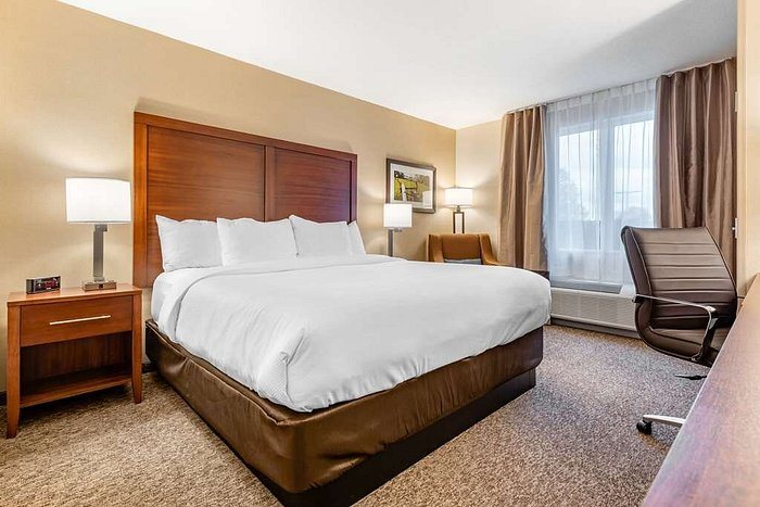 Comfort Inn — Guest room