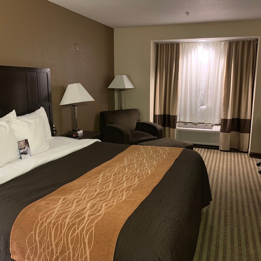 Comfort Inn Portland near I 84 and I 205 — Guest room