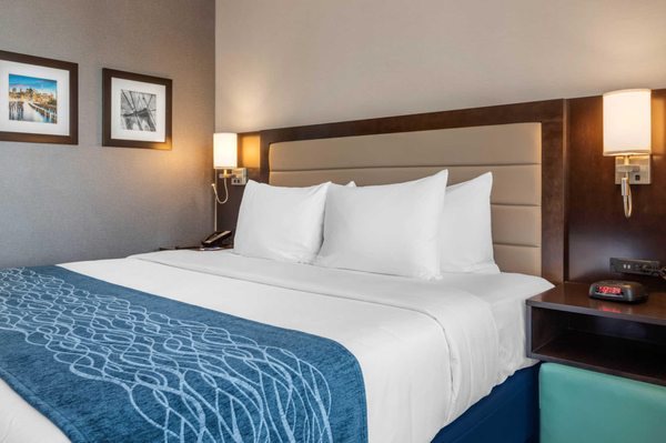 Comfort Inn Prospect Park Brooklyn — Guest room