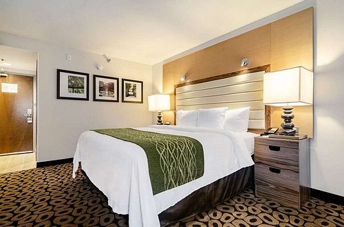 Comfort Inn Raleigh Midtown — Guest room