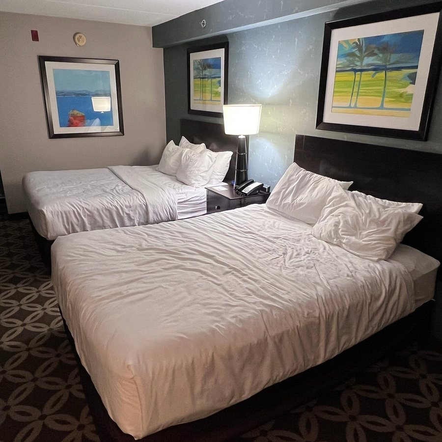 Comfort Inn Rehoboth Beach — Guest room