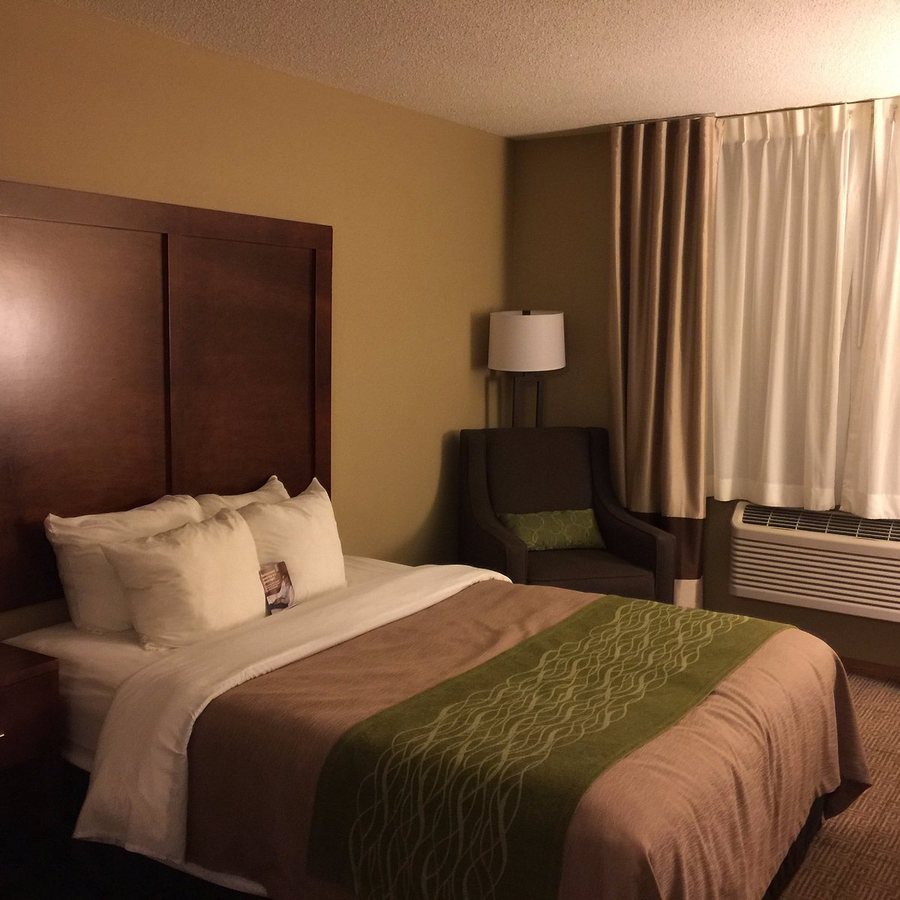 Comfort Inn — Guest room