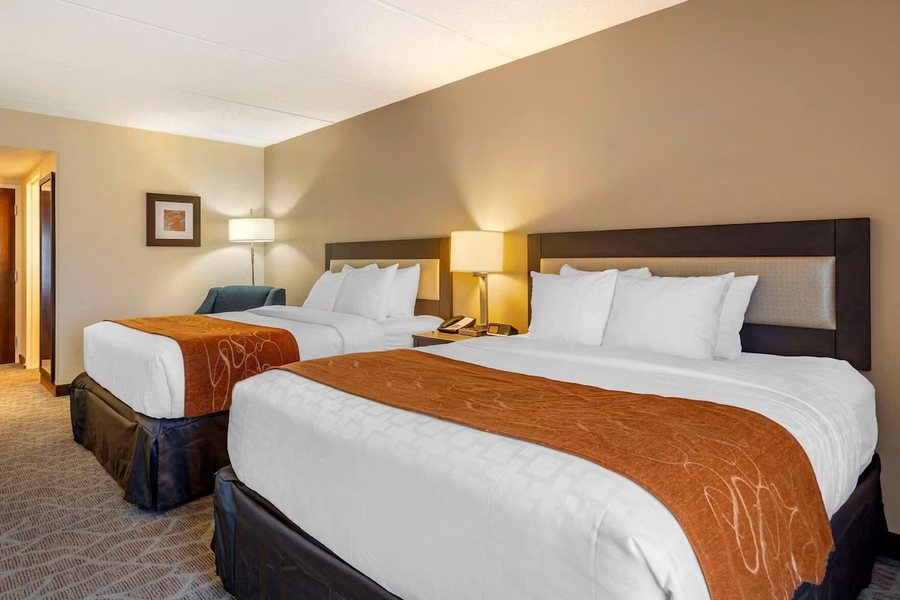 Comfort Inn Roswell Dunwoody — Guest room