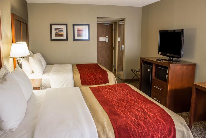 Comfort Inn RTP — Guest room