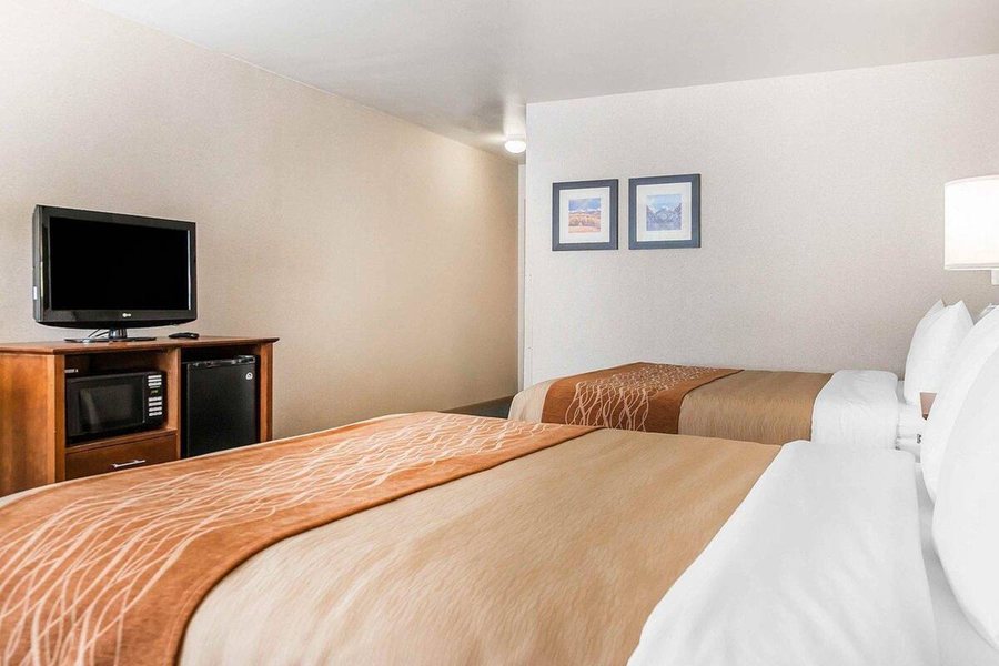 Comfort Inn — Guest room