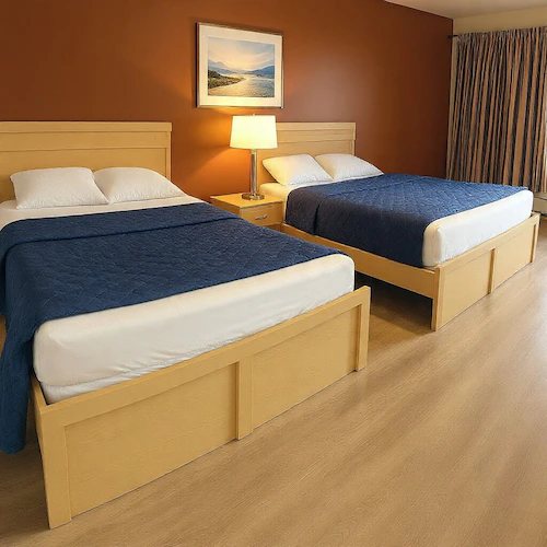 Comfort Inn — Guest room