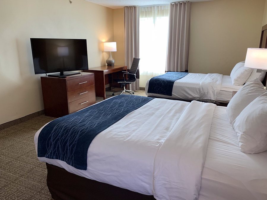 Comfort Inn Somerset — Guest room