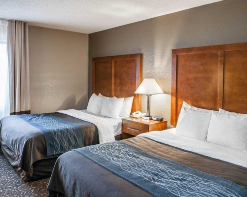 Comfort Inn South — Guest room