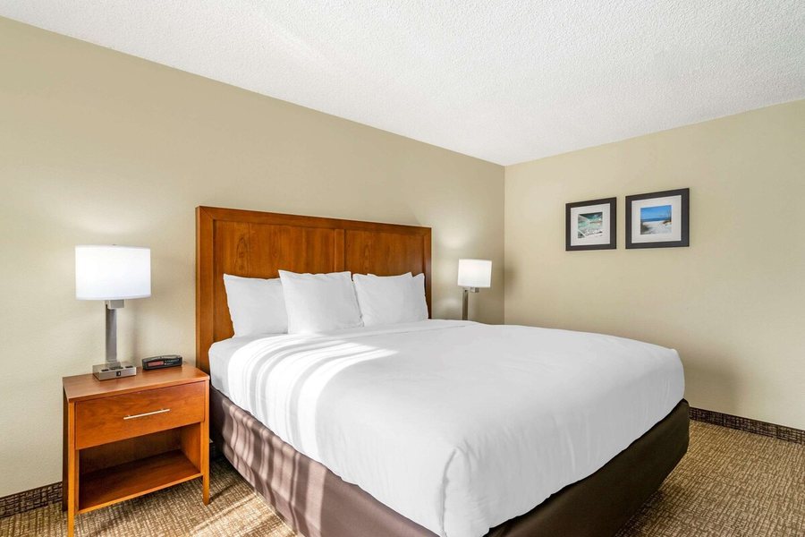 Comfort Inn St Petersburg North — Guest room