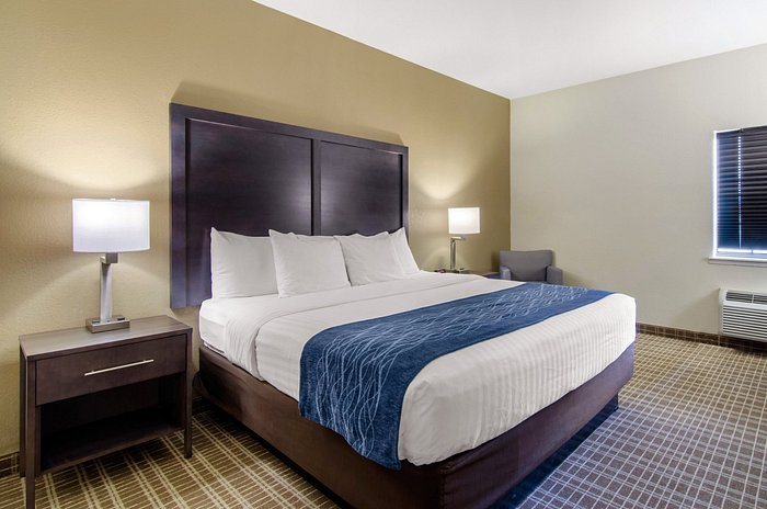 Comfort Inn St Robert Fort Leonard Wood — Guest room