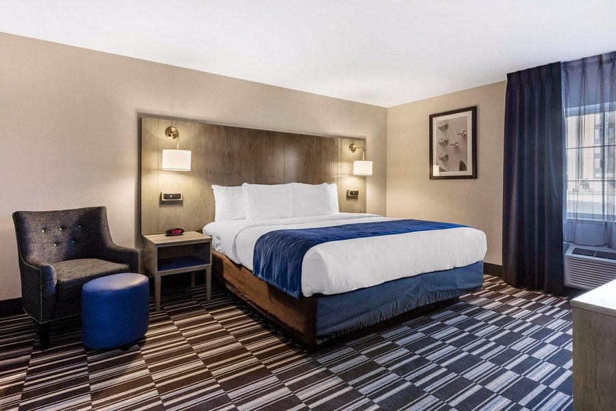 Comfort Inn Suites Airport American Way — Guest room