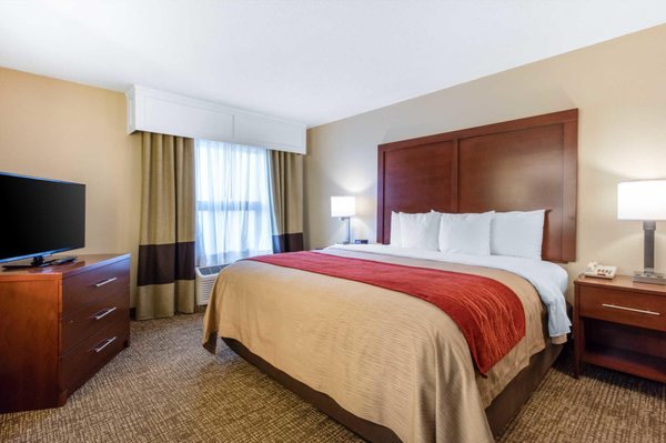 Comfort Inn Suites Airport — Guest room