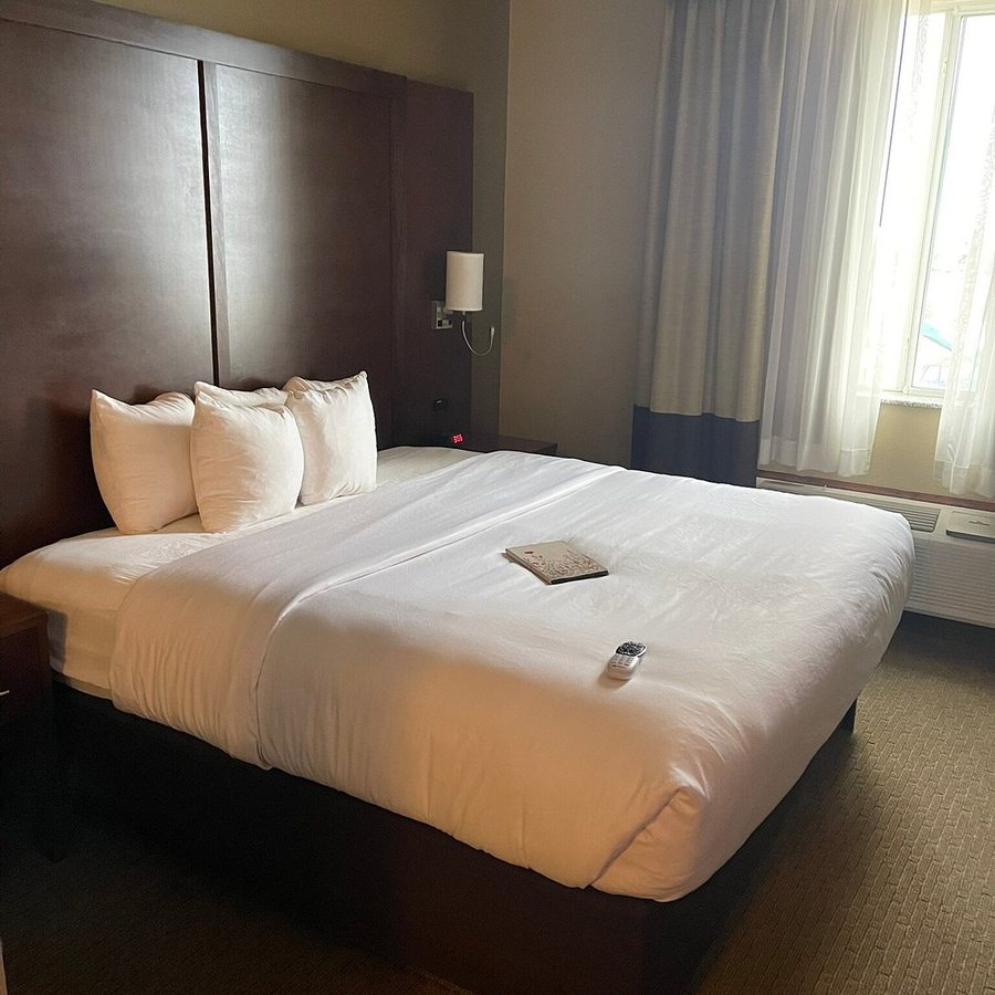 Comfort Inn Suites — Guest room