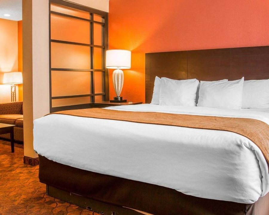 Comfort Inn Suites And Conference Center — Guest room