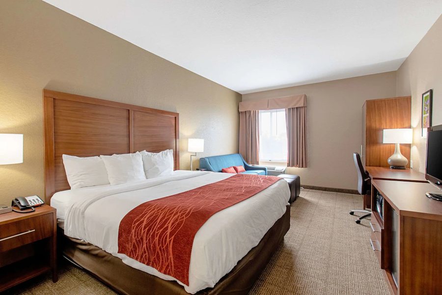 Comfort Inn Suites And Suites Fredericksburg — Guest room