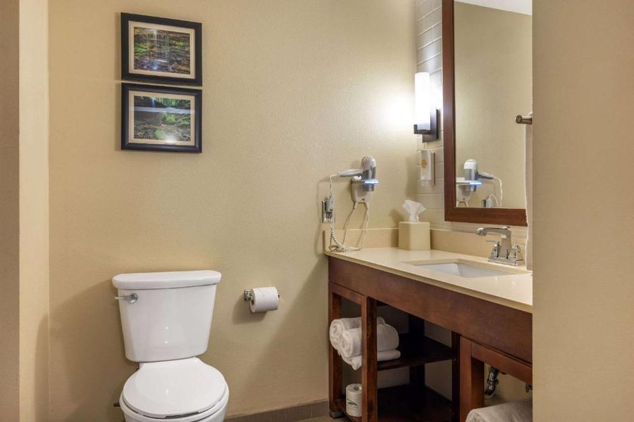 Comfort Inn Suites At Crosspex Village — Bathroom
