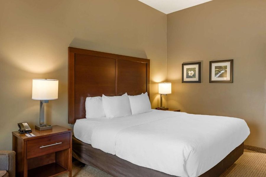 Comfort Inn Suites At Crosspex Village — Guest room