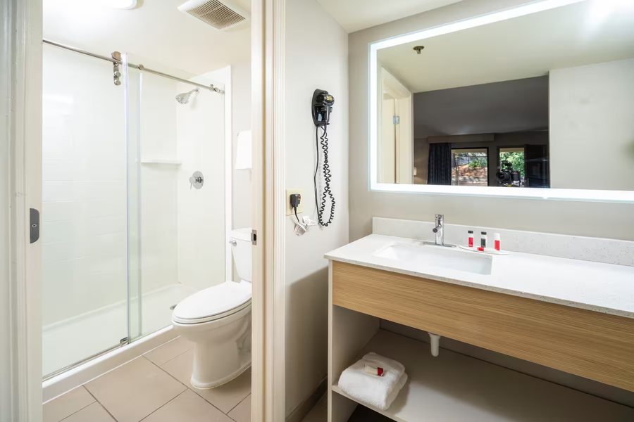Comfort Inn Suites at Stone Mountain — Bathroom