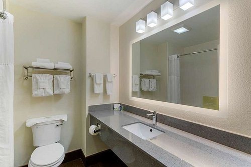 Comfort Inn Suites Ballpark Area — Bathroom