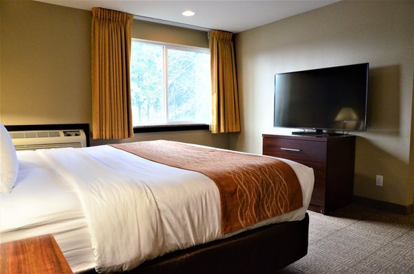 Comfort Inn Suites Beaverton Portland West — Guest room