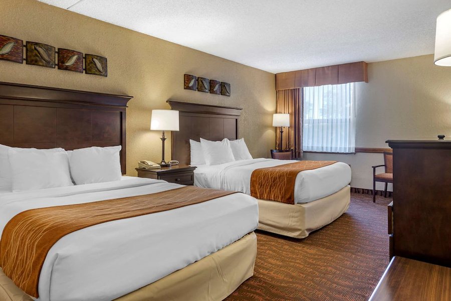 Comfort Inn Suites Branson Meadows — Guest room