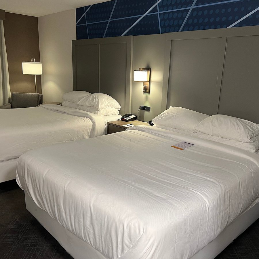 Comfort Inn Suites Buffalo Airport — Guest room