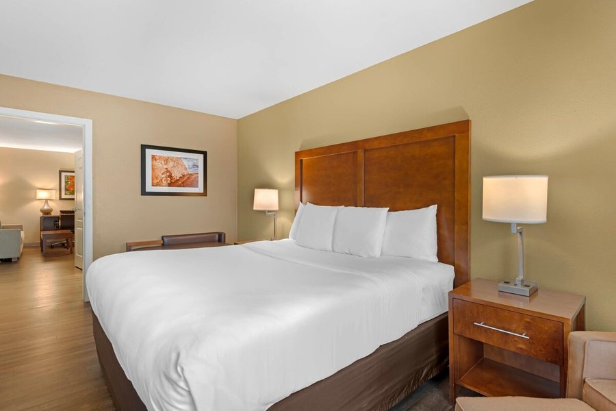 Comfort Inn Suites Carbondale — Guest room