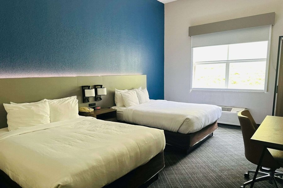 Comfort Inn Suites Cartersville Emerson Lake Point — Guest room