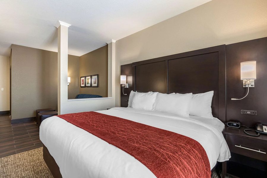 Comfort Inn Suites Cedar Rapids CID Eastern Iowa Airport — Guest room