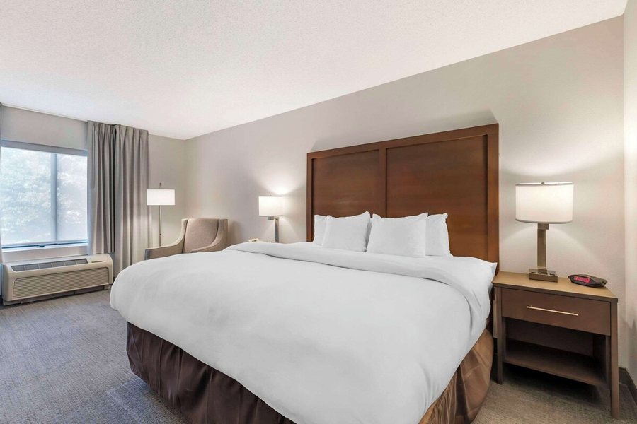 Comfort Inn Suites Chestertown — Guest room