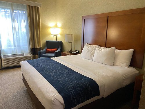 Comfort Inn Suites — Guest room