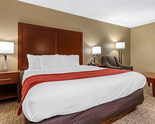 Comfort Inn Suites Cincinnati Eastgate — Guest room
